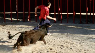 Un jove corre davant d’un bou. Foto: Joan Revillas
