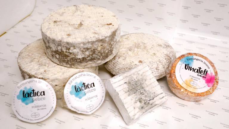 Algunos de los quesos que elaboran con leche de cabra. Foto: Pere Ferré
