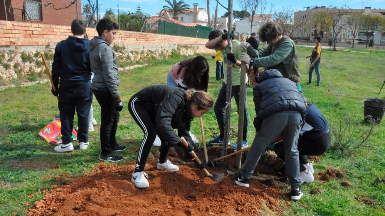 Imatge d’arxiu d’alumnes de l’Institut Ramonde la Torre, de Torredembarra, plantant un arbre a l’any 2020. Foto: Pere Ferré/DT