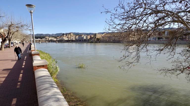 Estat del riu Ebre al seu pas per la ciutat de Tortosa, aquests dies. foto: Joan Revillas