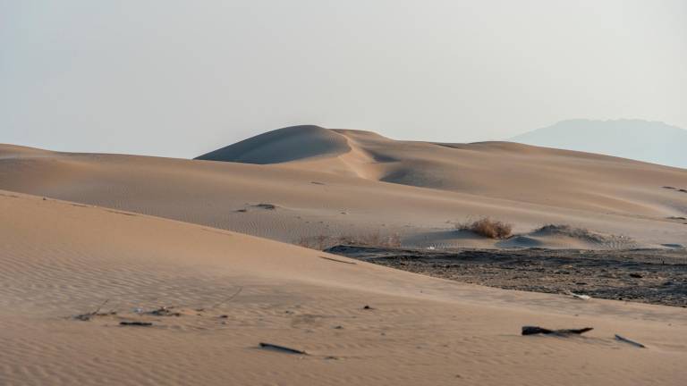 Las dunas de la Punta del Fangar. FOTO: santi garcía