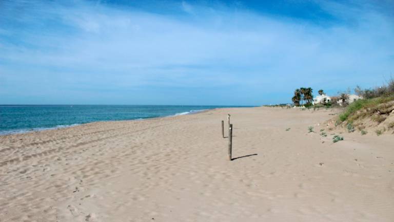 Imagen de archivo de la playa de El Creixell. Foto: DT