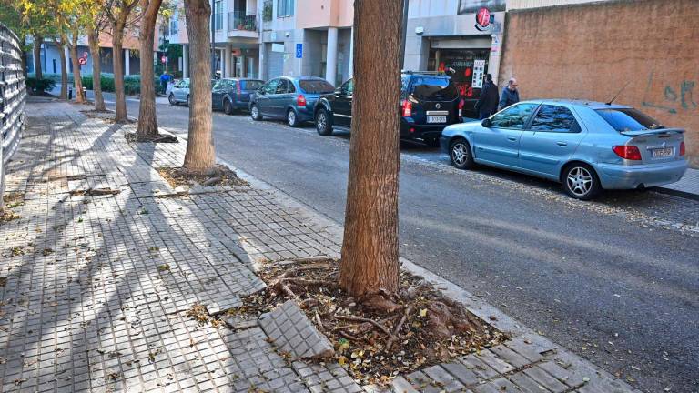 La calle de Cel Gomis i Mestre, en Horts de Miró, es una de las zonas donde el Ayuntamiento actuará. FOTO: Alfredo González
