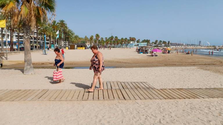 El Ayuntamiento de Salou acotará la próxima temporada un espacio en la playa de Ponent para poder ir con perros. Foto: Alba Mariné