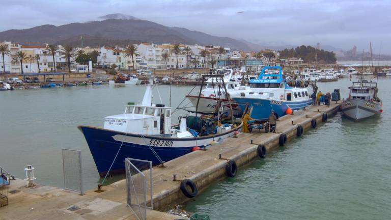 El port de les Cases d’Alcanar, al sud del Montsià. Foto: Joan Revillas