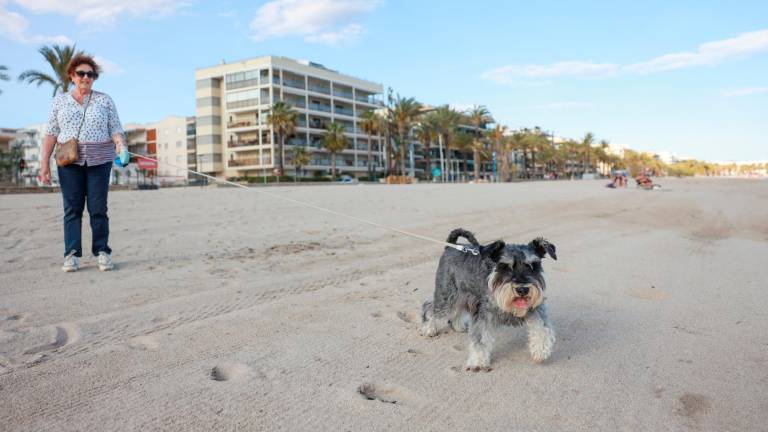 El tramo de playa canina será entre las calles Barenys y A. Foto: Alba Mariné