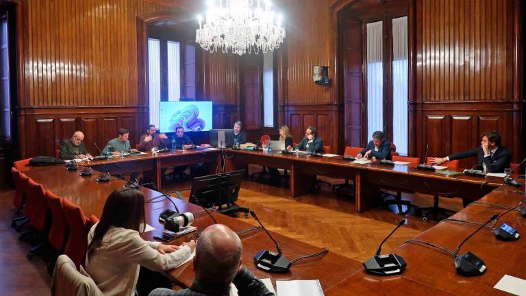 Sessió de la ponència al Parlament. Foto: Parlament de Catalunya