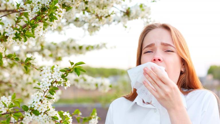 La Sociedad Española de Alergología e Inmunología Clínica estima el aumento de las alergias respiratorias en las próximas décadas. Foto: Getty Images