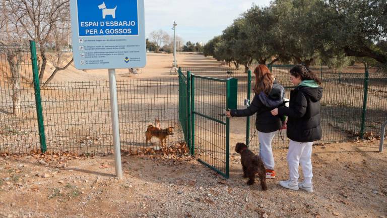 El parque canino de Vila-seca, construido en 2018, fue una de las propuestas ganadoras del presupuesto participativo de 2017. foto: Alba Mariné