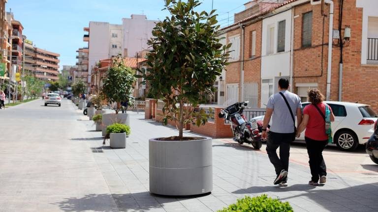 Las nuevas jardineras están situadas en el tramo más próximo a la plaza Aragó. Foto: Alba Mariné
