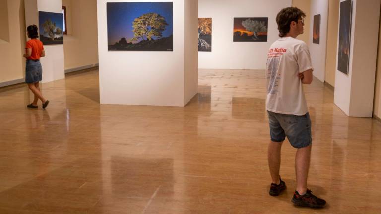 L’exposició es podrà veure fins a finals d’agost al Museu Terres de l’Ebre. Foto: Joan Revillas
