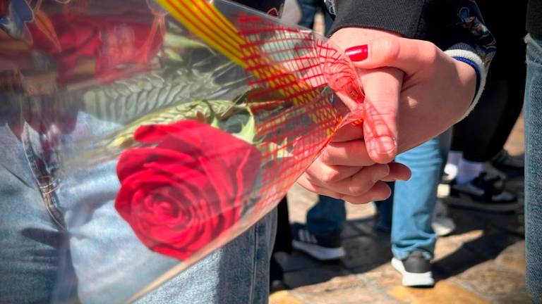Es preveu vendre milions de roses. Foto: Alfredo González
