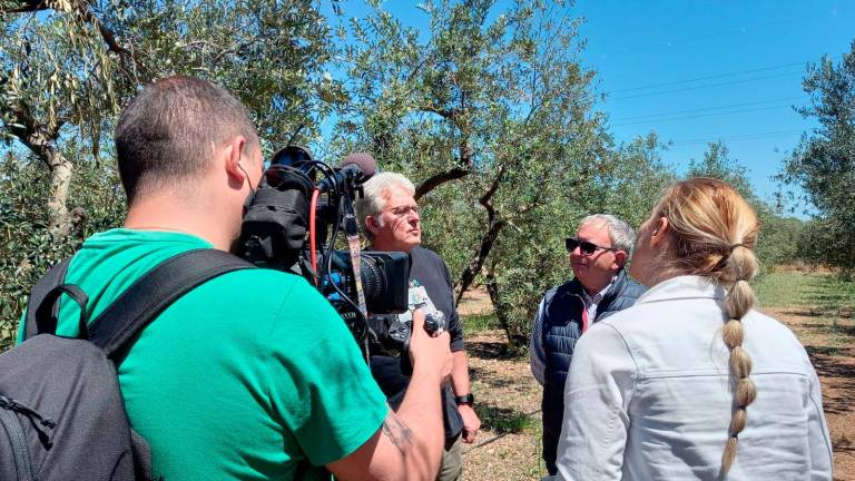 Los reporteos acudieron a un campo de olivos para conocer la agricultura local. Foto: Aj. Cambrils