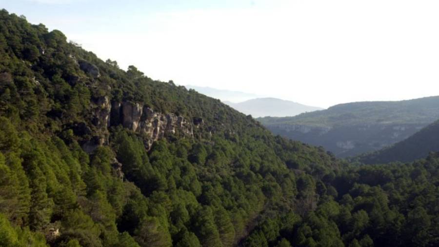 Vista de les Muntanyes de Prades.