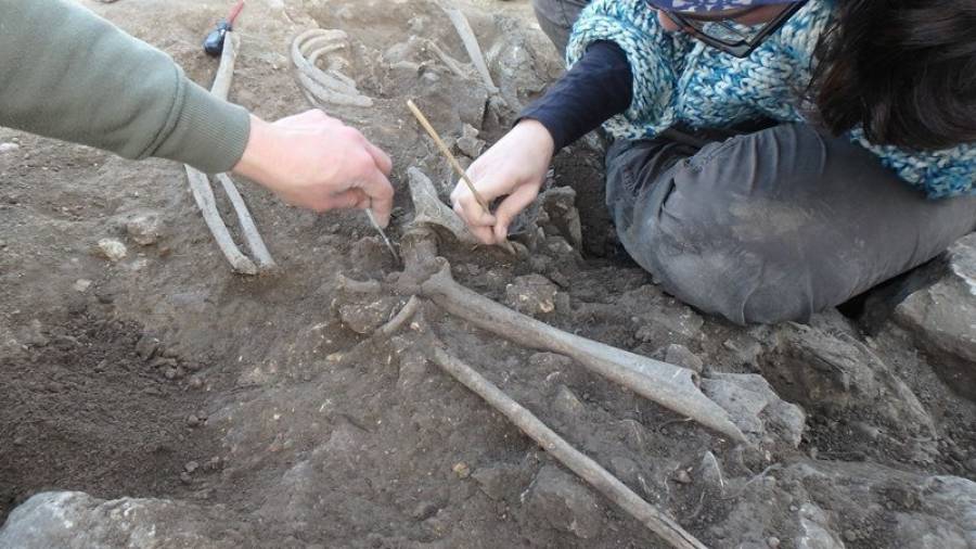 Estudiants excavant les restes humanes del segle III aC al jaciment ibèric de Nulles. Foto: J. Canela / C. Belarte