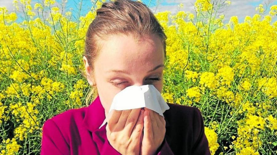 La previsión de los niveles de polen ayuda a evitar la exposición.