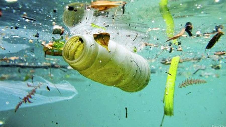 Los mares est&aacute;n llenos de pl&aacute;sticos.