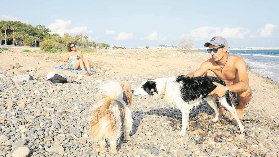 Perros conoci&eacute;ndose, en la playa de la Riera de Alforja, en Cambrils. Foto: Alba Marin&eacute;