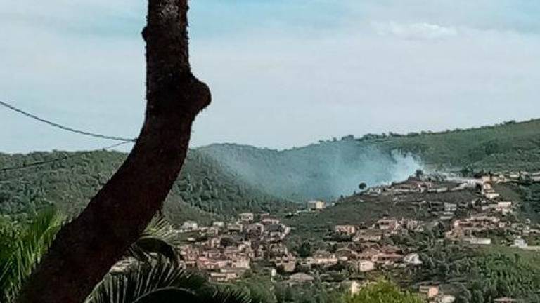 L’incendi d’un dipòsit de gasoil a la Bisbal del Penedès provoca un incendi forestal