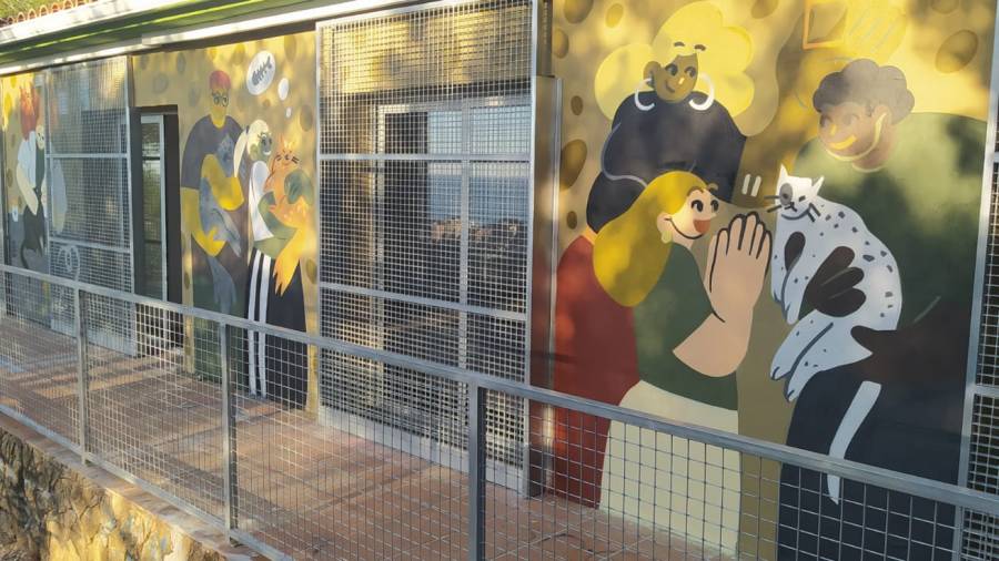 el mural en el refugio de gatos de Calafell.