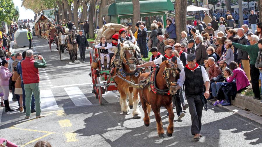 Los carros y animales fueron, como en ediciones anteriores, los principales protagonistas de una fiesta que pronto celebrará más de 700 años de la primera referencia que se ha encontrado, un aniversario que se quiere commemorar recuperando el recorrido tradicional por Tarragona. Foto: Lluís Milián