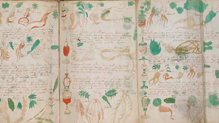Algunas páginas contienen dibujos de plantas desconocidas. Foto: D.T