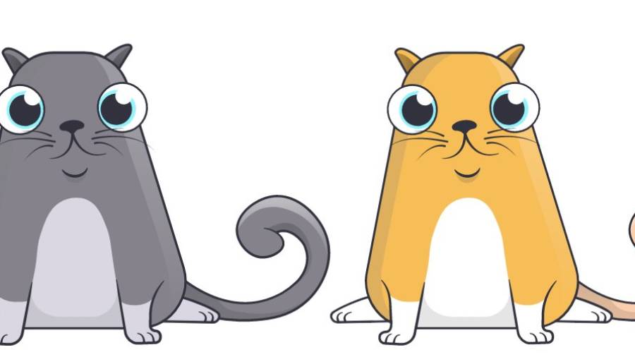 El lindo gatito: los gatos de Cryptokitties solo pueden adquirirse con moneda virtual