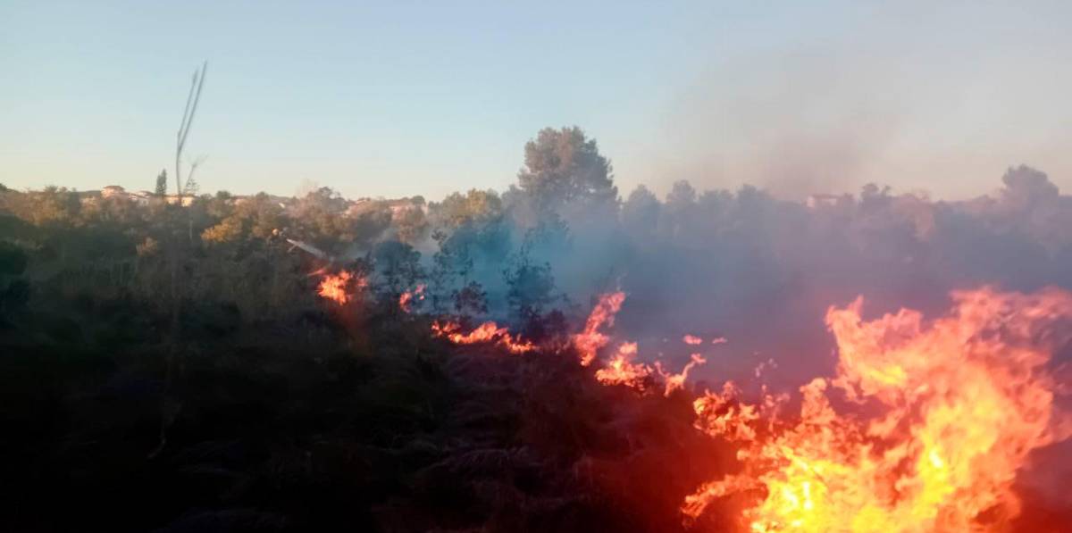 Incendio de El Vendrell. Foto: DT Incendio de El Vendrell. Foto: DT