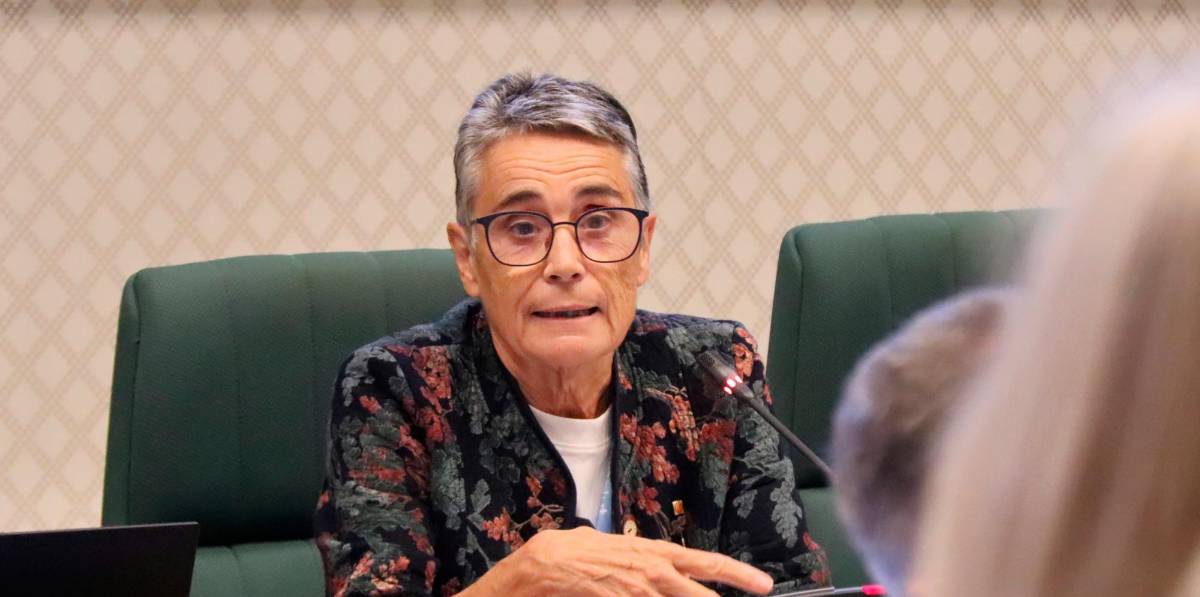 La consellera de Salut, Olga Pané. Foto: ACN La consellera de Salut, Olga Pané. Foto: ACN