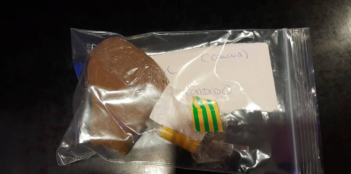 La droga confiscada encontrada por la unidad canina de Mossos. La droga confiscada encontrada por la unidad canina de Mossos.