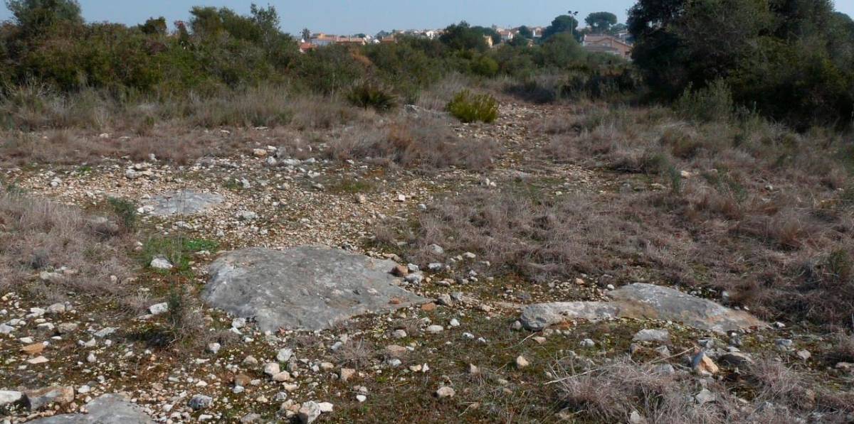 Los terrenos para donde se ha presentado en el proyecto de huerto sdolar. Los terrenos para donde se ha presentado en el proyecto de huerto sdolar.