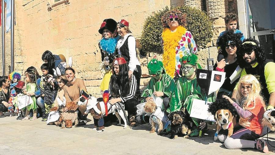El concurso de mascotas disfrazadas de Torredembarra llen&oacute; este s&aacute;bado el Pati del Castell. Foto: cedida
