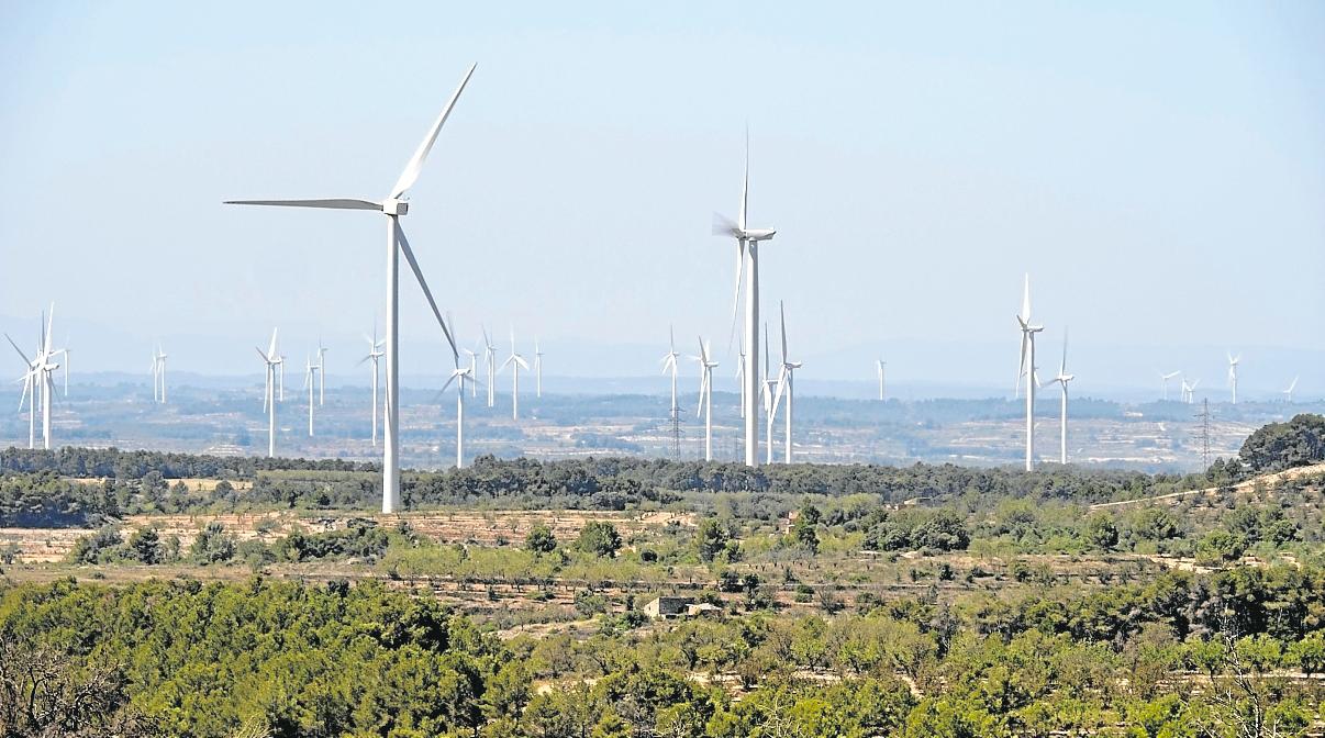 Un parc eòlic de la comarca de la Terra Alta. foto. Joan Revillas