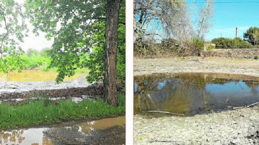La bassa del Montsi&agrave;, ahir plena i buida fa uns dies. Fotos: N&uacute;ria Ventura i Jordi Monforte