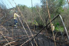 Cada día se producen incendios de vegetación. Foto: Àngel Juanpere