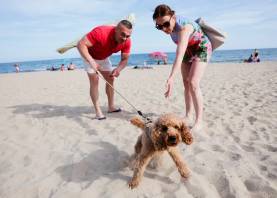 La zona de convivencia con perros que Salou ha delimitado cerca de la plaza Venus. Foto: Alba Mariné