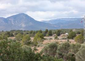 Los terrenos de Els Comellarets se encuentran entre la AP-7 y la carretera T-323. FOTO: DT