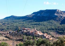 El Parc Natural inclouria 24 municipis de l’Alt Camp, el Baix Camp, les Garrigues, la Conca de Barberà i el Priorat. Foto: Alba Mariné