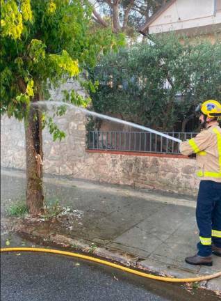Un bombero apagando un incendio en un árbol de Santa Coloma de Queralt, este viernes. Foto: Bombers de Santa Coloma de Queralt