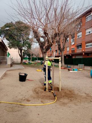 $!Tarragona canviarà o plantarà 350 arbres nous aquest 2024