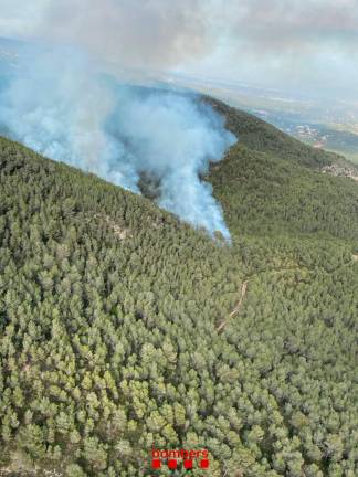 Extinguido el incendio forestal de El Montmell