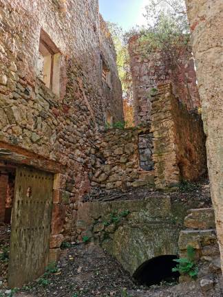 Rehabilitar i recuperar un molí del segle XIII i el seu entorn