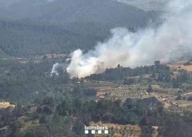 El incendio de cañas y vegetación en Marçà. Foto: Bombers