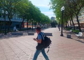 El Ayuntamiento ha recolocado los bolardos protectores de todas las cocas de la Rambla. Foto: J.C.