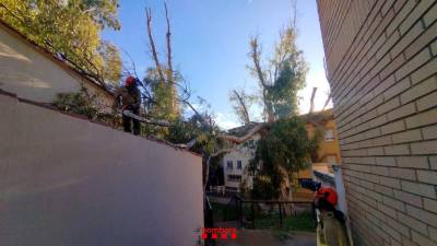 En Cambrils un árbol ha caído sobre una casa. Foto: Bombers