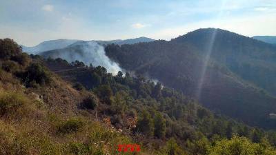 Incendi d’avui a Falset. Foto: Bombers de la Generalitat