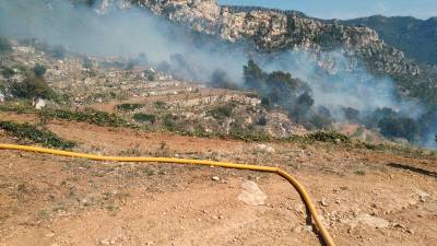Once dotaciones de bomberos, dos avionetas y un helicóptero, activadas por un incendio en Vilaverd