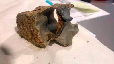 el fragmento del cráneo encontrado en julio en el fondo del mar de la playa de Els Muntanyans. FOTO: cedida