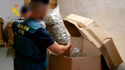 Un agente sacando grandes bolsas de cogollos de marihuana. Foto: Guardia Civil