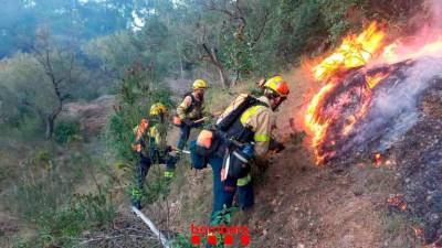 Aparece un hombre carbonizado en el incendio forestal de La Pobla de Massaluca